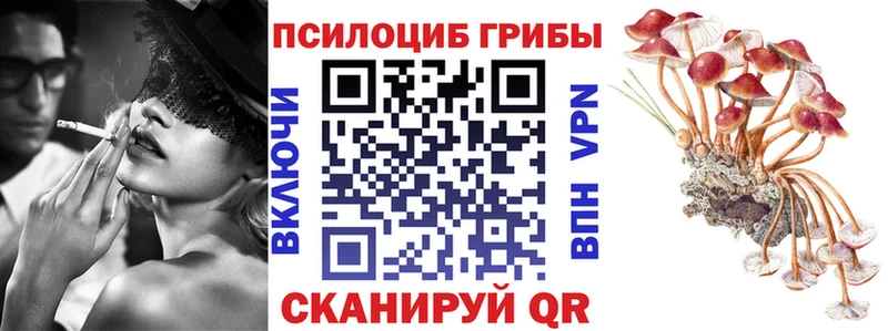 mega ONION  Майкоп  Псилоцибиновые грибы Cubensis 